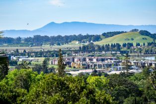Single Family Residence,  Monez boulevard, Napa, CA 94559 - 30