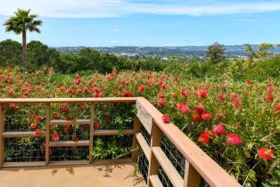 Single Family Residence,  Monez boulevard, Napa, CA 94559 - 19