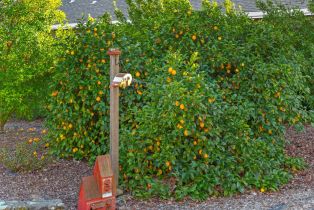 Single Family Residence, Castle road, Sonoma, CA 95476 - 38