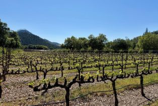 Single Family Residence,  Dutch Henry Canyon road, Calistoga, CA 94515 - 46