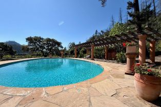 Single Family Residence,  Dutch Henry Canyon road, Calistoga, CA 94515 - 33