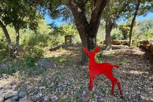 Single Family Residence,  Dutch Henry Canyon road, Calistoga, CA 94515 - 35