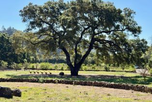 Single Family Residence,  Dutch Henry Canyon road, Calistoga, CA 94515 - 39