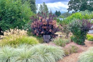 Single Family Residence,  Mill Station road, Sebastopol, CA 95472 - 63