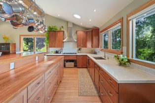 Single Family Residence,  Mill Station road, Sebastopol, CA 95472 - 33