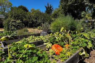 Single Family Residence,  Mill Station road, Sebastopol, CA 95472 - 39