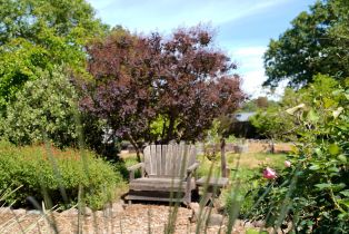 Single Family Residence,  Mill Station road, Sebastopol, CA 95472 - 47