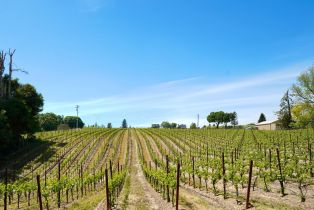 Single Family Residence,  Mill Station road, Sebastopol, CA 95472 - 56