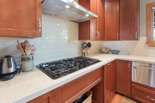 Single Family Residence,  Mill Station road, Sebastopol, CA 95472 - 30