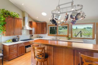 Single Family Residence,  Mill Station road, Sebastopol, CA 95472 - 15