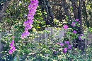 Single Family Residence,  Mill Station road, Sebastopol, CA 95472 - 54