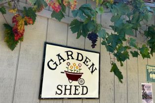 Single Family Residence,  Mill Station road, Sebastopol, CA 95472 - 43