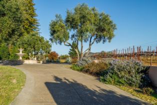 Residential Acreage,  Redwood Hill court, Santa Rosa, CA 95404 - 14