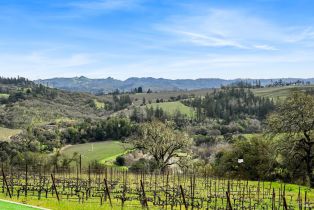 Single Family Residence,  Maacama Ridge road, Healdsburg, CA 95448 - 16