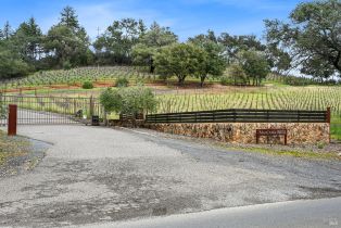 Single Family Residence,  Maacama Ridge road, Healdsburg, CA 95448 - 20