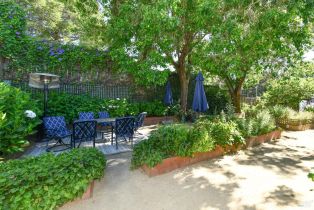 Single Family Residence,  Ramona avenue, Napa, CA 94559 - 23