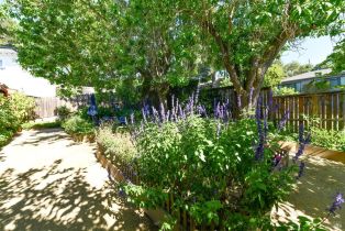 Single Family Residence,  Ramona avenue, Napa, CA 94559 - 24