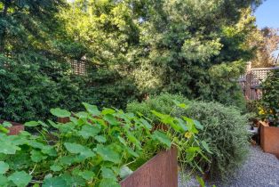 Condominium, Piper street, Healdsburg, CA 95448 - 27