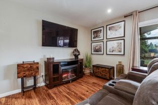 3+ Houses on Lot, Patrick lane, Windsor, CA 95492 - 26