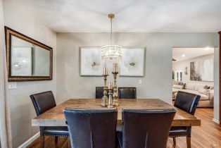 3+ Houses on Lot, Patrick lane, Windsor, CA 95492 - 28