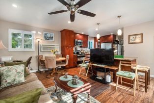 3+ Houses on Lot, Patrick lane, Windsor, CA 95492 - 48