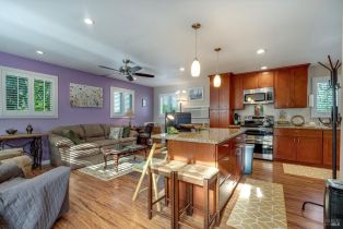 3+ Houses on Lot, Patrick lane, Windsor, CA 95492 - 46