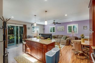 3+ Houses on Lot, Patrick lane, Windsor, CA 95492 - 53