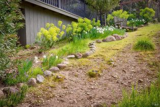 Single Family Residence,  Catherine court, Santa Rosa, CA 95409 - 58