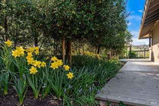 Single Family Residence,  Catherine court, Santa Rosa, CA 95409 - 54