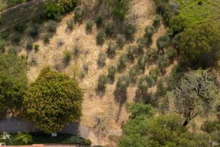 Single Family Residence,  Mountain Pine road, Cloverdale, CA 95425 - 41