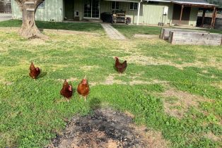 Single Family Residence,  Valley drive, Cloverdale, CA 95425 - 13