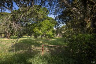 Single Family Residence, Kent street, Petaluma, CA 94952 - 48