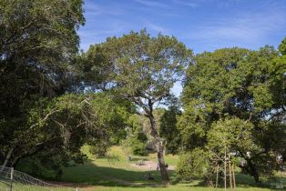 Single Family Residence, Kent street, Petaluma, CA 94952 - 51