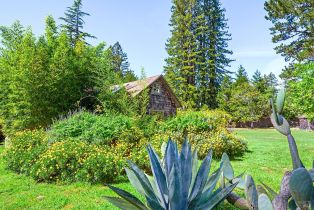 Single Family Residence,  Joy road, Occidental, CA 95465 - 4
