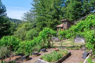 Single Family Residence,  Joy road, Occidental, CA 95465 - 32