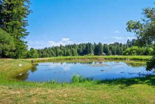 Single Family Residence,  Joy road, Occidental, CA 95465 - 38