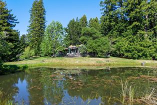 Single Family Residence,  Joy road, Occidental, CA 95465 - 9