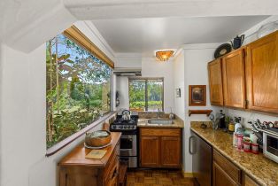 Single Family Residence,  Joy road, Occidental, CA 95465 - 15