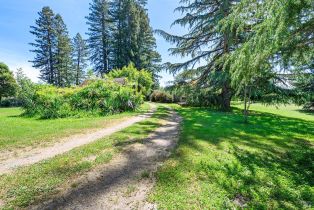 Single Family Residence,  Joy road, Occidental, CA 95465 - 45