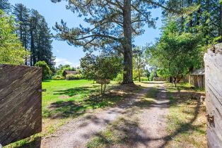 Single Family Residence,  Joy road, Occidental, CA 95465 - 46