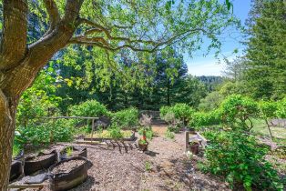 Single Family Residence,  Joy road, Occidental, CA 95465 - 36