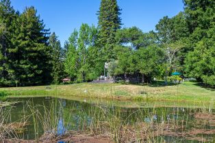 Single Family Residence,  Joy road, Occidental, CA 95465 - 40