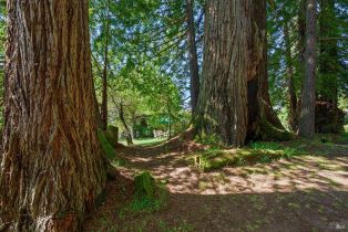 Single Family Residence,  Joy road, Occidental, CA 95465 - 42