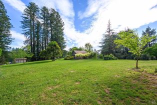 Single Family Residence,  Joy road, Occidental, CA 95465 - 3