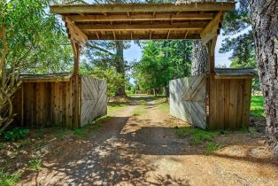 Single Family Residence,  Joy road, Occidental, CA 95465 - 47