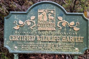 Single Family Residence,  Joy road, Occidental, CA 95465 - 44