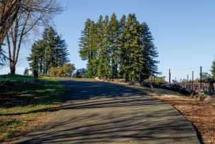 Residential Acreage,  Redwood Hill court, Santa Rosa, CA 95404 - 5