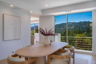 Single Family Residence,  Kortum Canyon road, Calistoga, CA 94515 - 9
