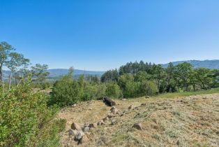 Residential Acreage,  Bennett Ridge road, Santa Rosa, CA 95404 - 8