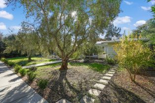 Single Family Residence,  Brookside road, Sonoma, CA 95476 - 46